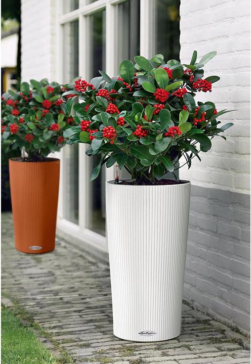 Actual product image Lechuza Cilindro 32 (32 cm)