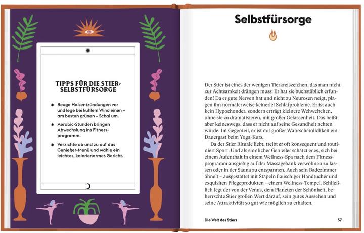 Produktbild Stier (Deutsch, Stella Andromeda, 2021)