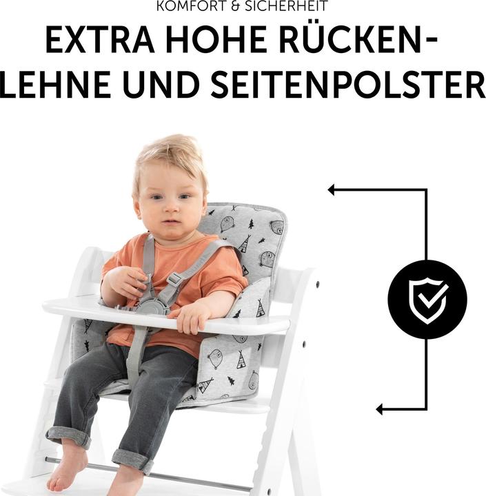 Actual product image Hauck Alpha Cosy Select
