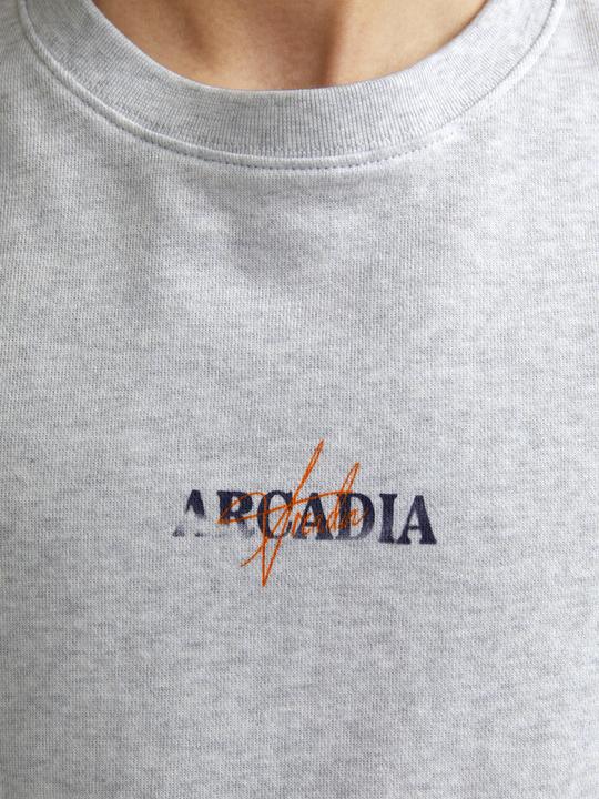 Actual product image Jack & Jones Jjecharge Graphic Sweat O-N Styd Aw24 Ln (XL)