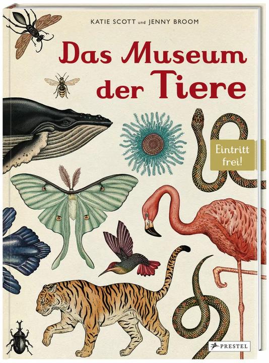 Produktbild Das Museum der Tiere (Deutsch, Katie Scott, Jenny Broom, 2014)