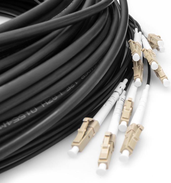 Produktbild Digitus Vorkonfektionierte Glasfaser Universal Breakout Kabel, Multimode OM4, 12 Fasern, LC/UPC - LC/UPC (LSOH, CAT6, 75 m)