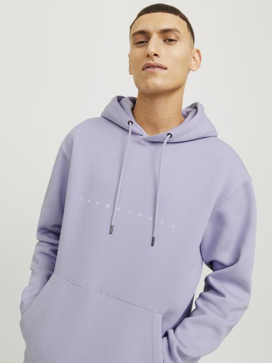 Image du produit Jack & Jones Jjestar Jj Sweat Hood Noos (XXL)