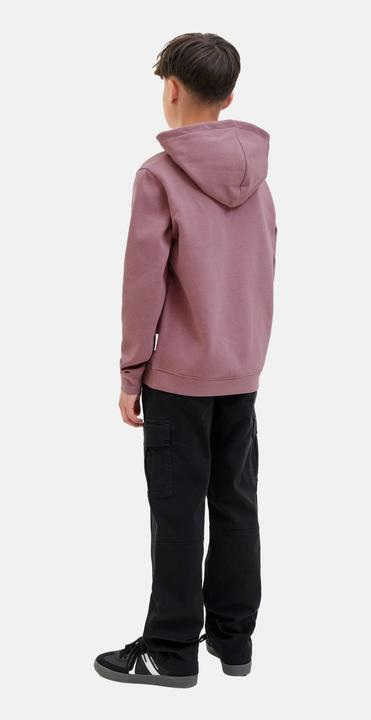 Produktbild Jack & Jones Jcotier Front Print Sweat Hood Sn Jnr (164)