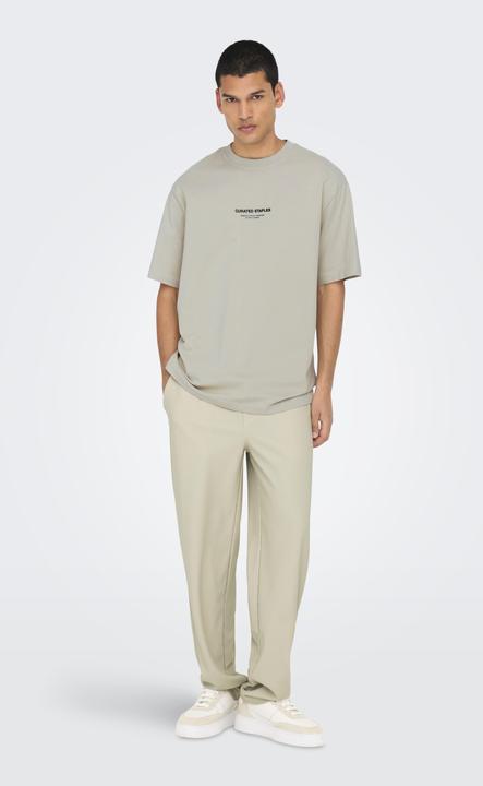 Image du produit Only & Sons Onscurated Rlx Print Ss Tee Noos (M)