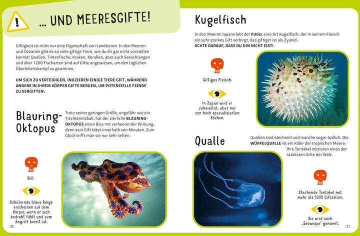 Produktbild National Geographic Die tödlichsten Tiere. Ein aufregendes Count-Down der gefährlichsten Tiere (Top Ten) (Deutsch, Massimo Miato, Cristina Banfi, 2024)