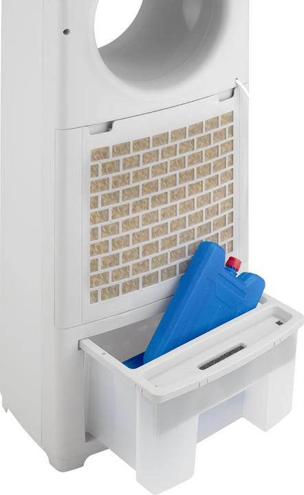 Actual product image Argo Polifemo Cleo (67.72 dB)