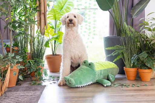 Image du produit Beeztees Hundespielzeug Krokodil