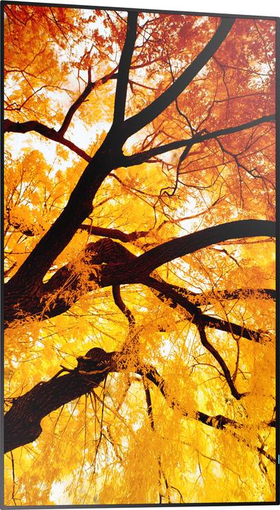 Image du produit NEC Sharp Large Format Display M552 (3840 x 2160 pixels, 55")