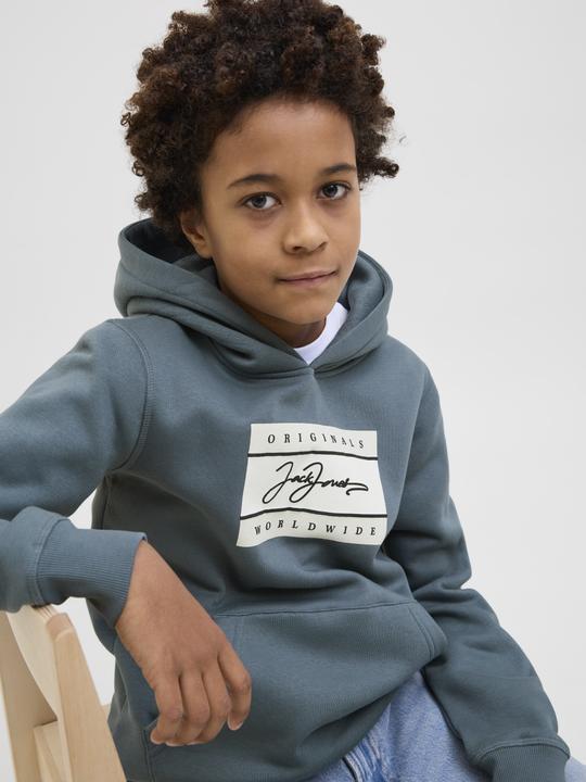 Image du produit Jack & Jones Jorfrederiksberg Box Sci Sw.H Sn Unb Jnr (128)