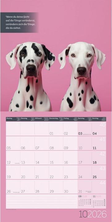 Actual product image Alles wird gut! Kalender 2026 - 30x30 (30 x 30 cm, Hardcover, French, English)