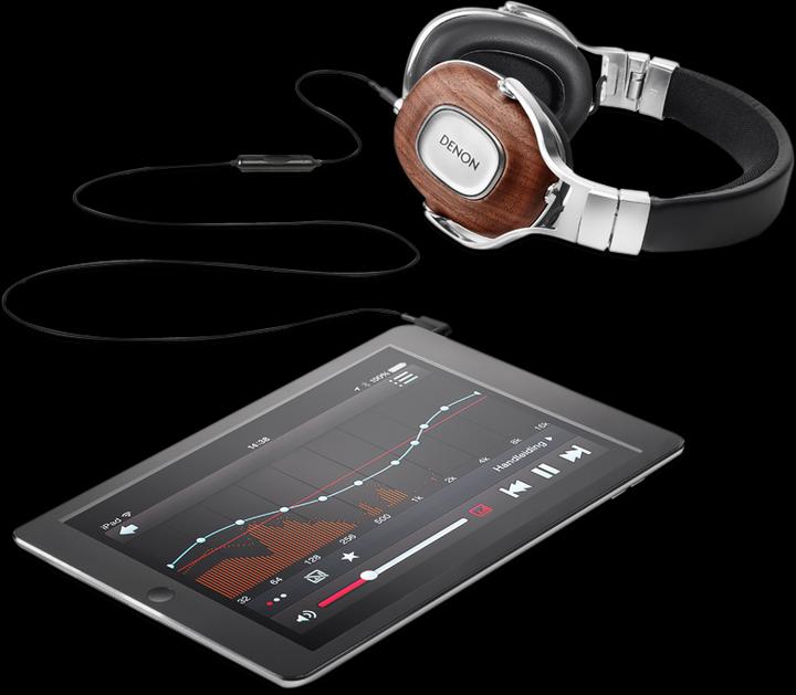 Actual product image Denon Ah-Mm400 (Cable)