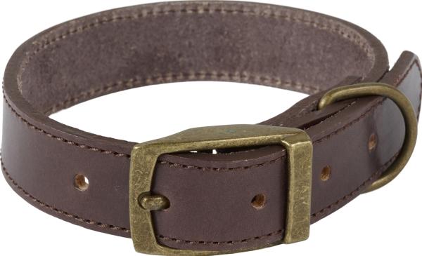 Immagine prodotto Companion Collare in cuoio per cani - 2 cm x 32-42 cm (32, 33, 34, 35, 36, 37, 38, 39, 40, 41, 42)