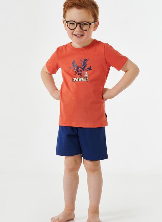 Produktbild Schiesser Pyjama Natural Love Organic Cotton (98)