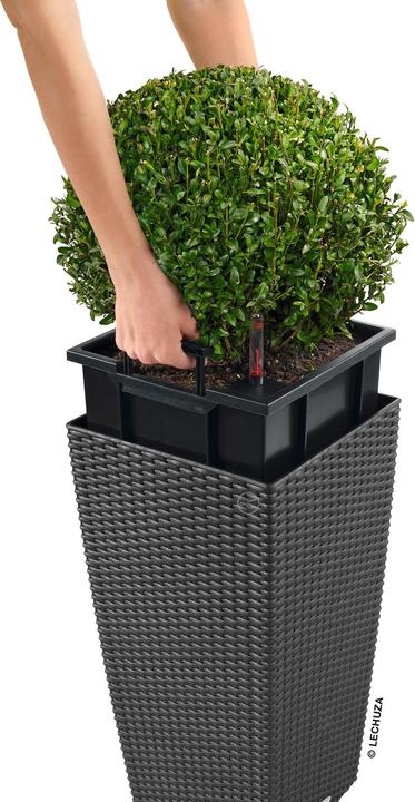 Actual product image Lechuza Cubico Cottage (29.50 cm)