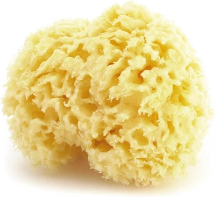 Immagine prodotto Herba Spugna naturale
