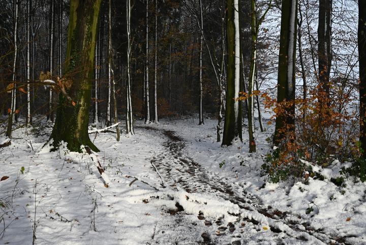 Produktbild Wandern 2025 Grossformat-Kalender 58 x 4 (Deutsch)