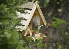 Actual product image Windhager Bird food silo Villa