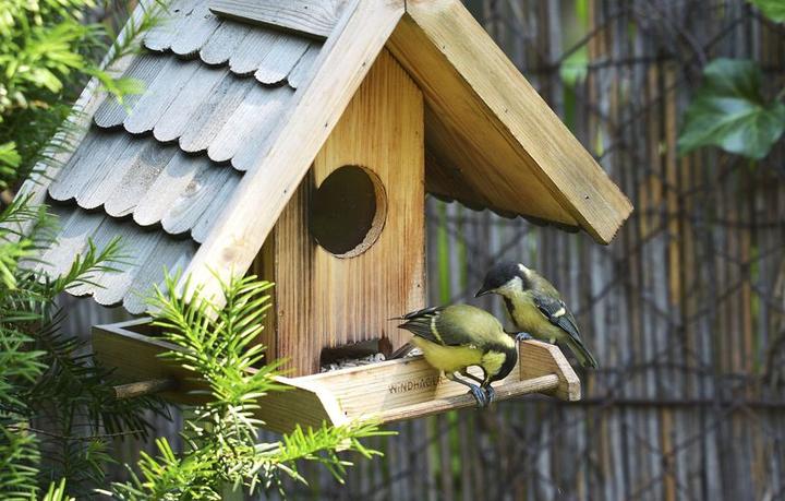 Actual product image Windhager Bird food silo Villa