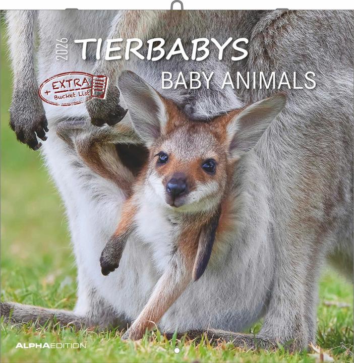 Produktbild Alpha Edition Tierbabys 2026 - Broschürenkalender 30x30 cm (30x60 geöffnet) - Kalender mit Platz für Notizen - (30 x 30 cm, Harter Einband, Niederländisch, Englisch)