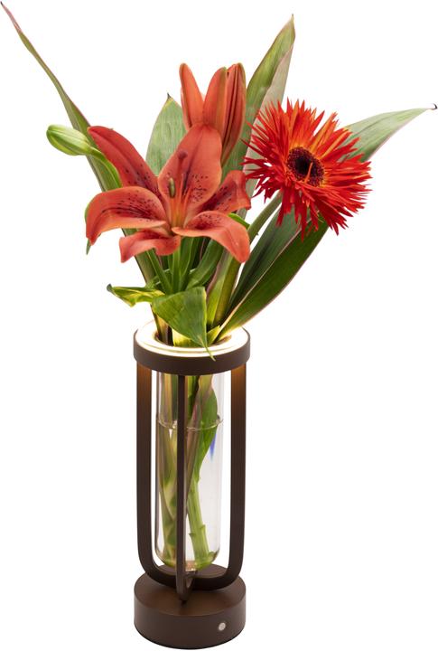 Image du produit Securit Lampe de table FLORENCE (50 lm)