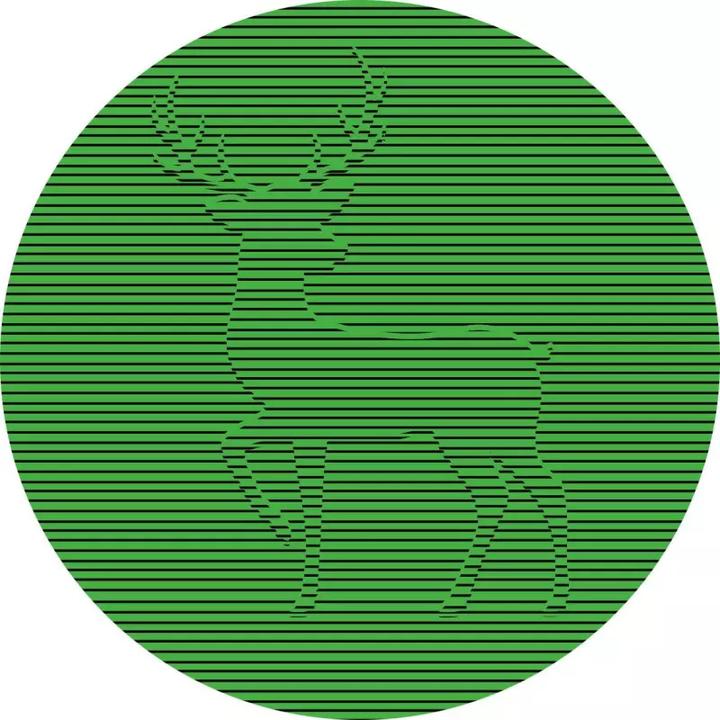 Produktbild 24 optische Illusionen