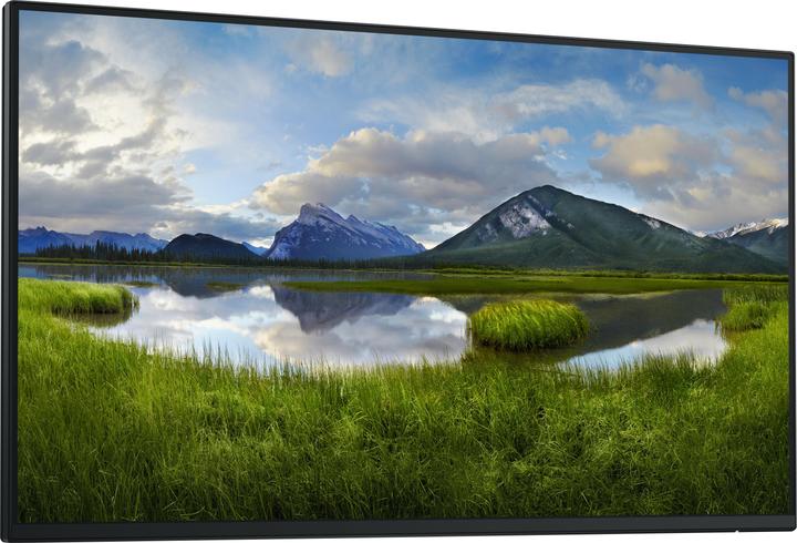 Actual product image Dell P2425HWO (1920 x 1080 pixels, 24")