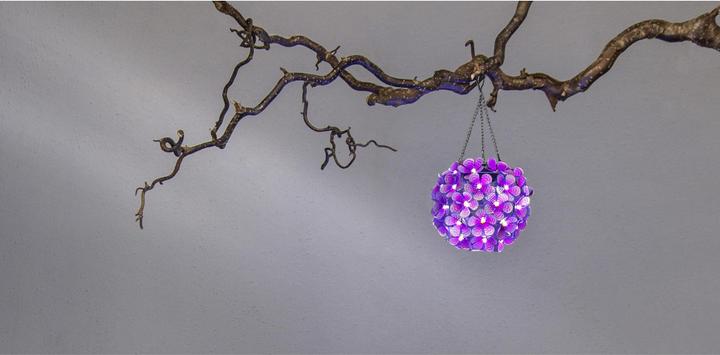 Actual product image Star Trading Hortensia (IP44)