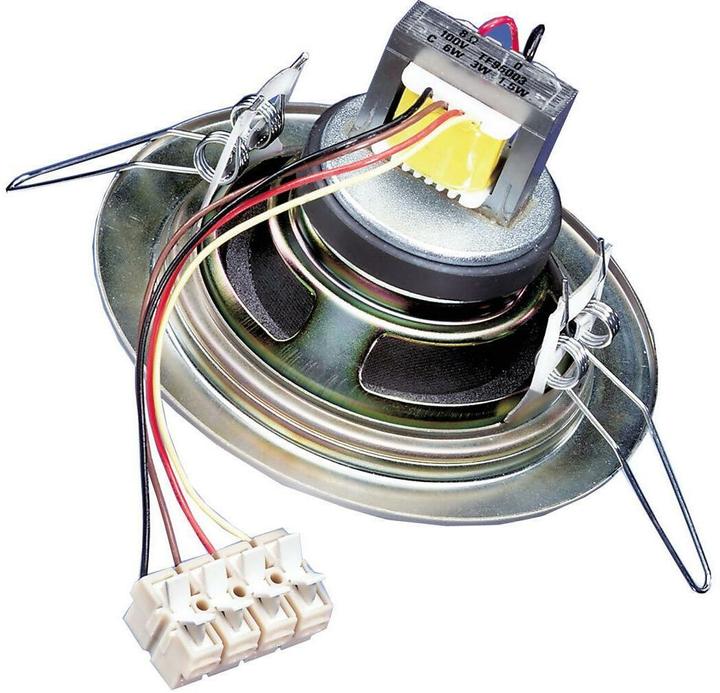 Actual product image Visaton Ceiling loudspeaker DL 10, 100V