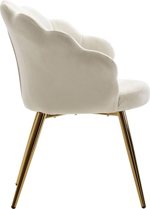 Actual product image FineBuy Tulpe