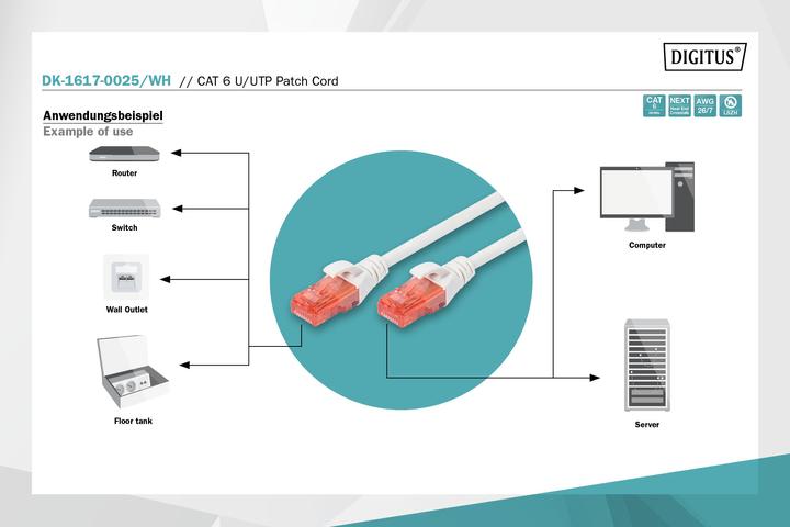 Productafbeelding Digitus Netwerkkabel (UTP, CAT6, 0.25 m)