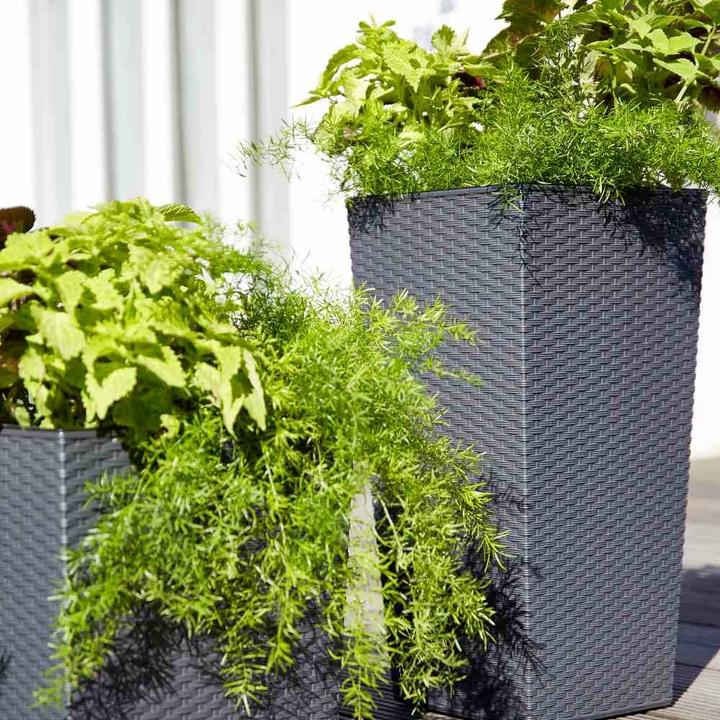 Immagine prodotto Siena Garden Modern (35 cm)
