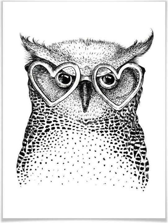 Image du produit Trenddeko Kvilis - Le petit hibou geek (30 x 40 cm)