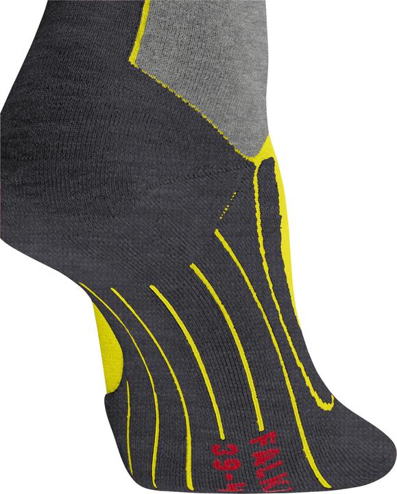 Actual product image Falke SK4 Advanced (39 - 41)