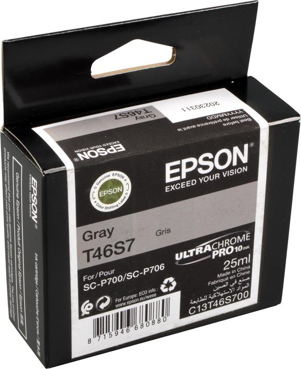 Epson T46S700 (GY)