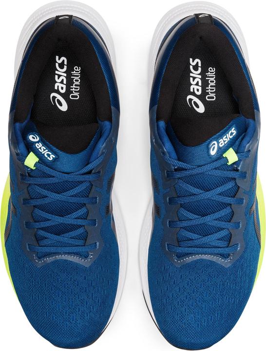 Produktbild ASICS Performance Gel-Pulse 13 (43.5)