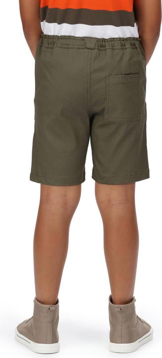 Actual product image Regatta Alber Shorts (146)