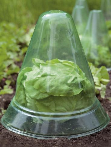 Actual product image Windhager Plant hat