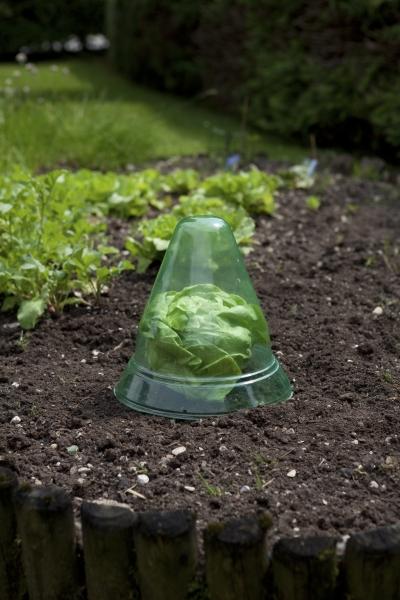 Actual product image Windhager Plant hat