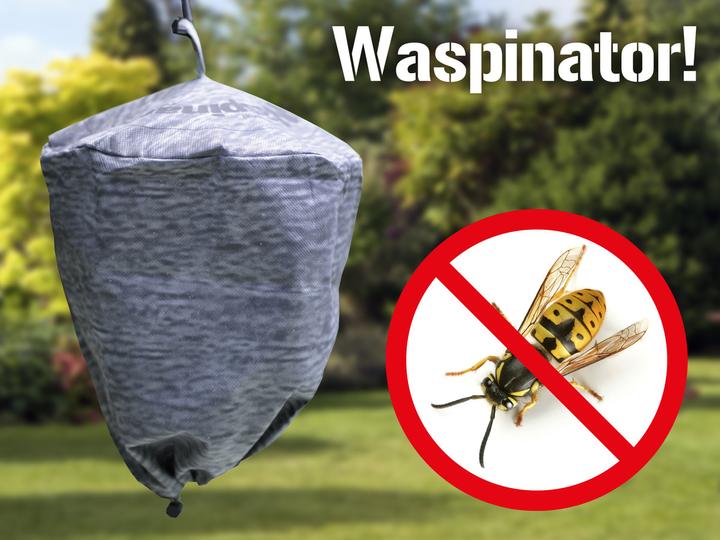 Produktbild Colibri Waspinator
