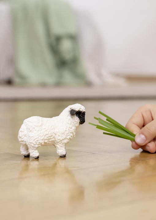 Produktbild Schleich Walliser Schwarznasenschaf