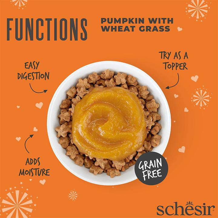 Produktbild Schesir Functions Digestive Topper, Kürbis mit Weizengras, 40g (Adult, 1 Stk., 40 g)