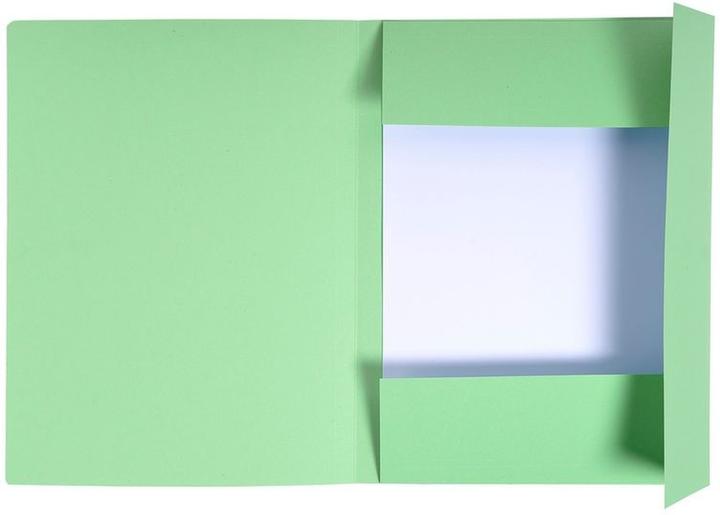 Image du produit Exacompta Fardes de classement - Couvertures de dossiers (A4, 1 x)