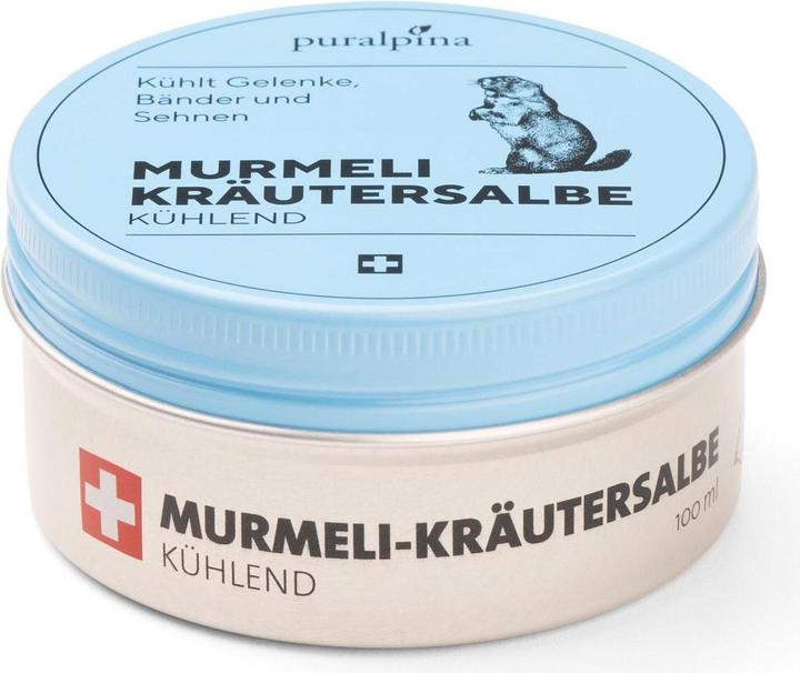 Actual product image Puralpina Murmeli Herbal Ointment (1 x, 100 ml, 110 g)