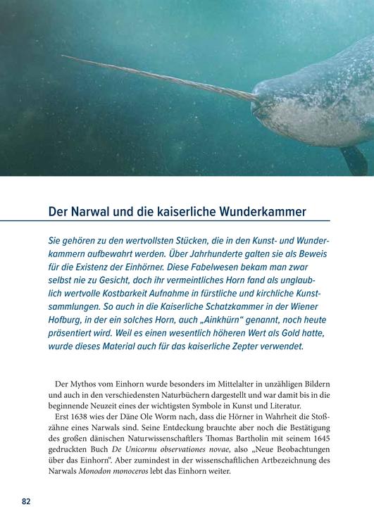 Produktbild Der Rabe und der schlechte Leumund (Deutsch, Josef Schöchl, 2022)