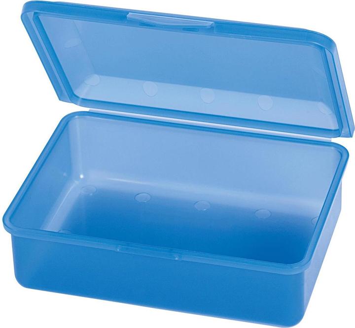 Actual product image Buchsteiner Lunch box click box 19x13,5x6cm assorted colors