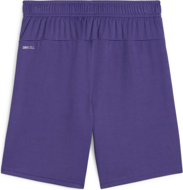Actual product image Puma teamGOAL Shorts Jr (128)