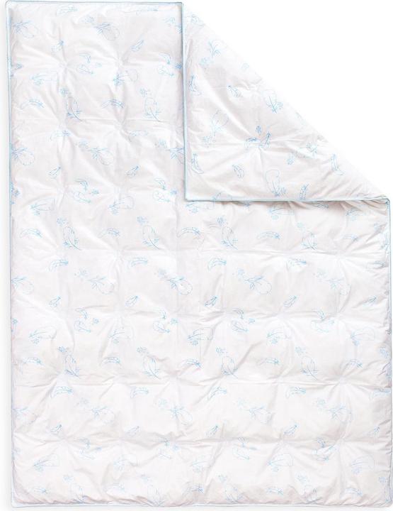 Produktbild Julius Zöllner Kinder-Duvet Daune 100 x 135 cm