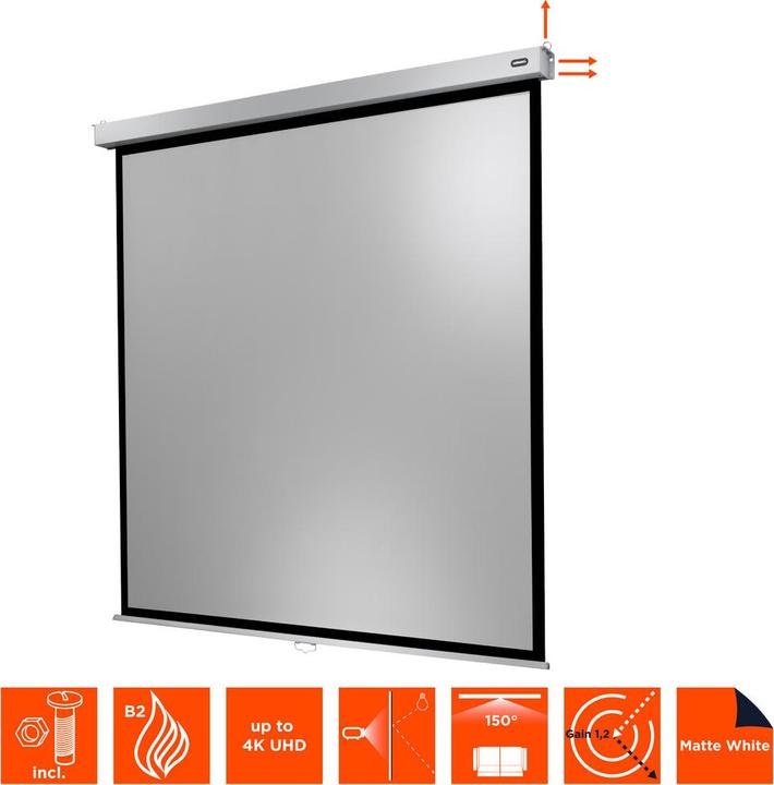Produktbild Celexon Professional Plus (84", 1:1)
