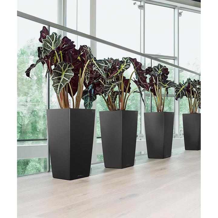 Produktbild Lechuza Cubico (50 cm)